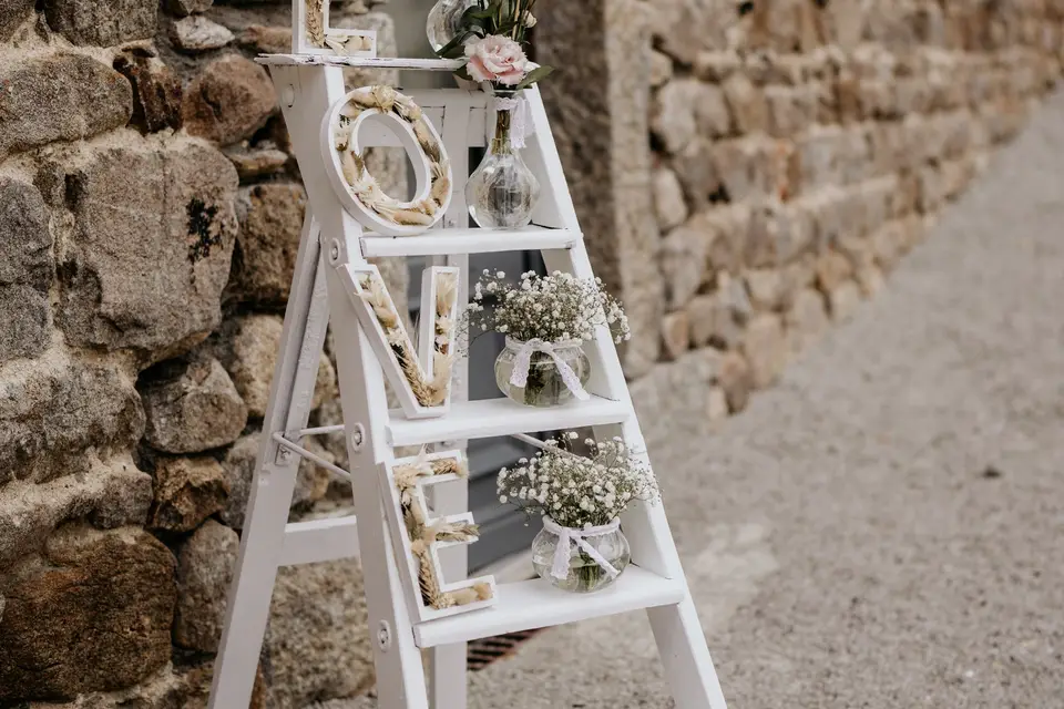 Cactus & Lilas — photo 8