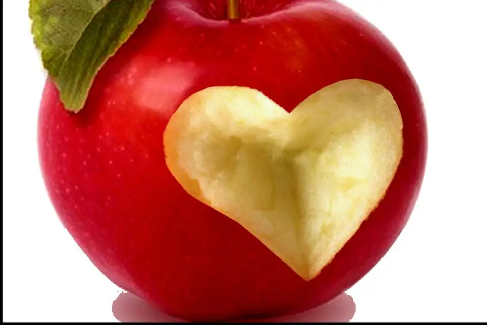 Adam et Ève — photo 6