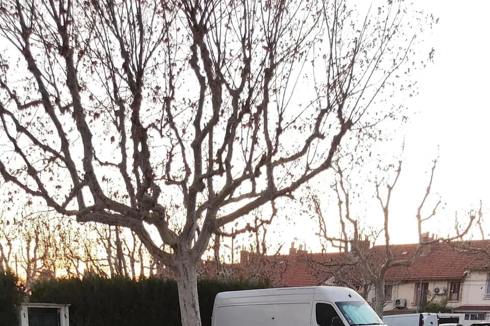 Nads Autos — photo 2