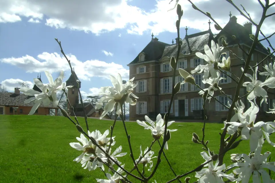 Château Talancé — photo 3