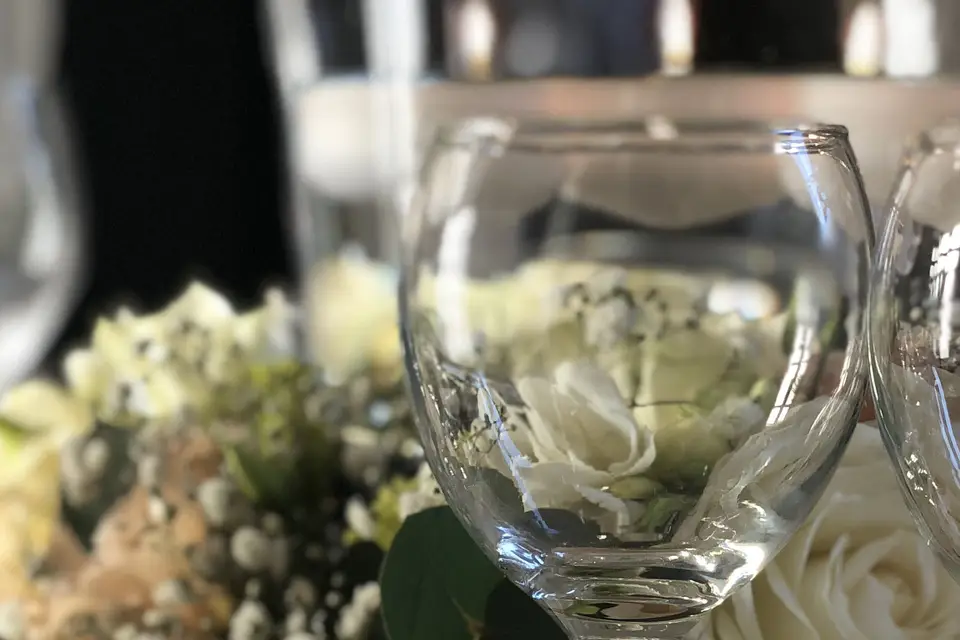 Great Colors Day — photo 2