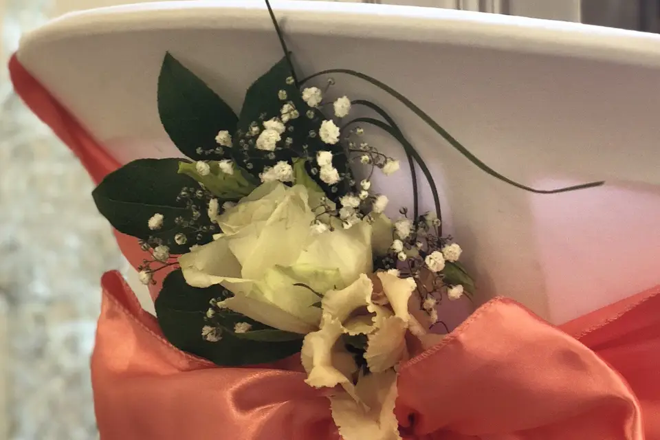 Great Colors Day — photo 1