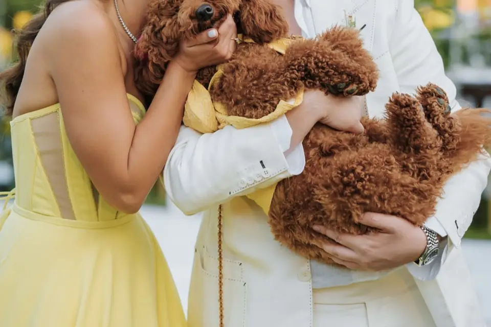 Lunay Production — photo 2