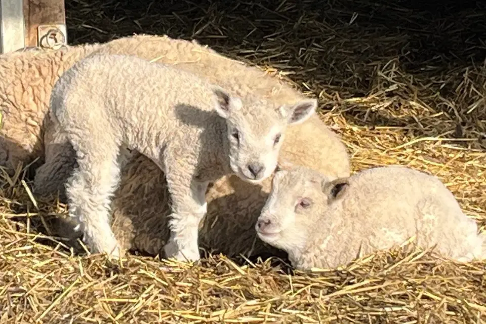 Domaine des Rouges Terres — photo 8