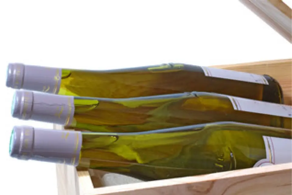 Le Monde de Syl'Vin — photo 8