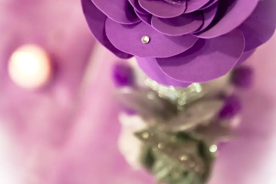 Herkules Productions — photo 1