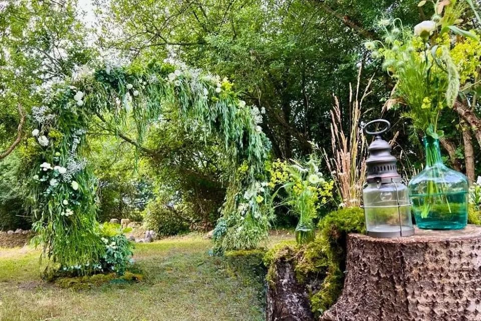 Herborium — photo 1