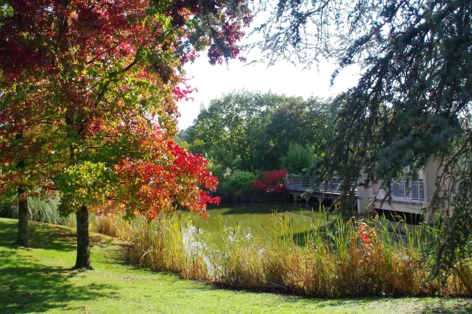 Les Jardins de l'Anjou — photo 8