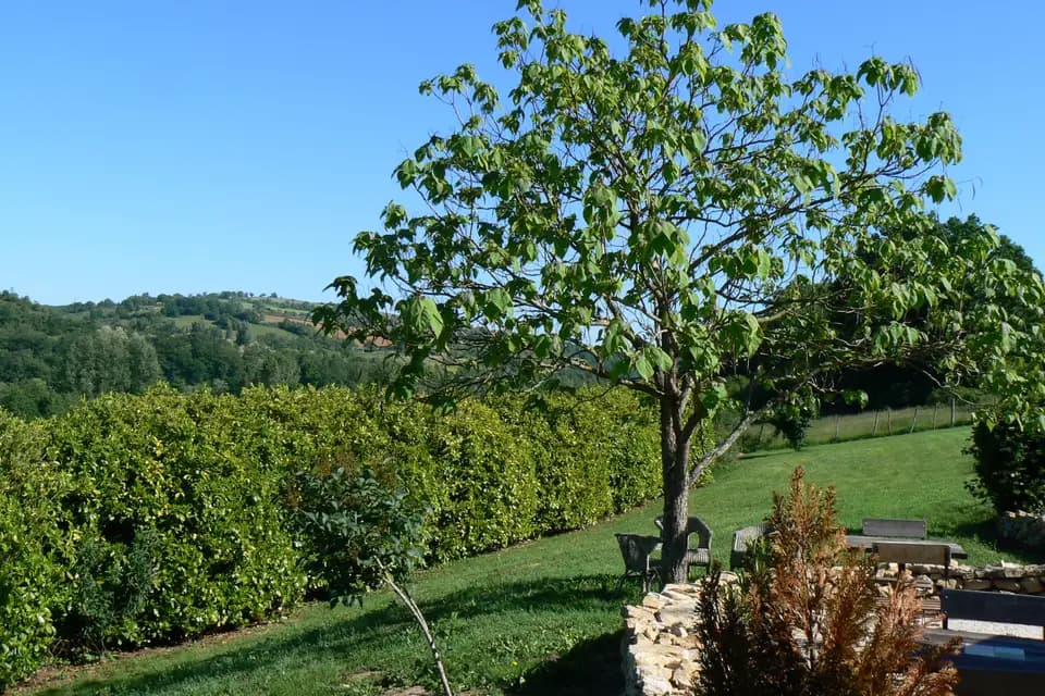 La Bastie d'Urfé — photo 1