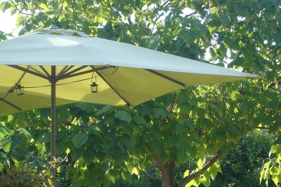 La Bastie d'Urfé — photo 2