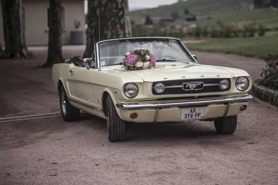 Anaïs Décoratrice Florale — photo 5