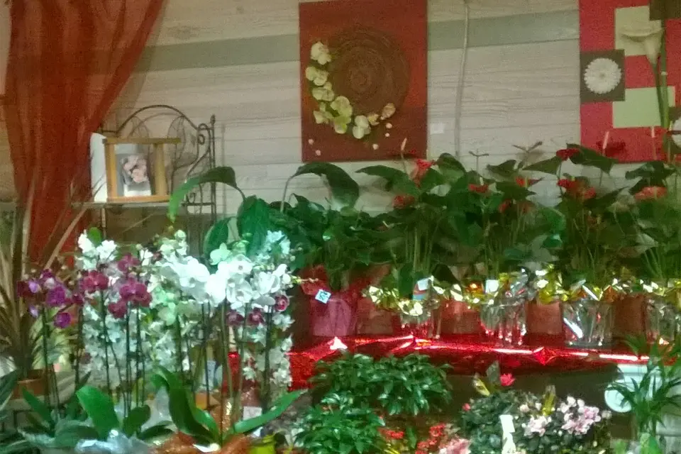 Marylène Fleurs — photo 1