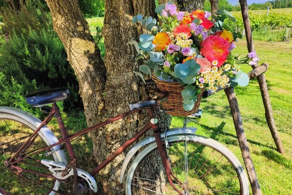 Marielys — photo 6