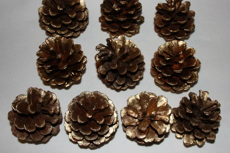 L'Herboriste de La Chapelle — photo 7