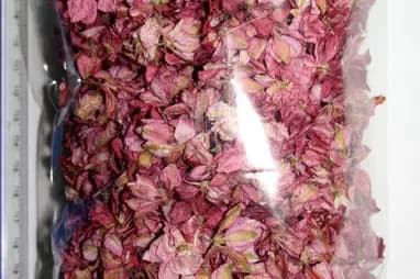 L'Herboriste de La Chapelle — photo 6