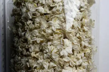 L'Herboriste de La Chapelle — photo 4