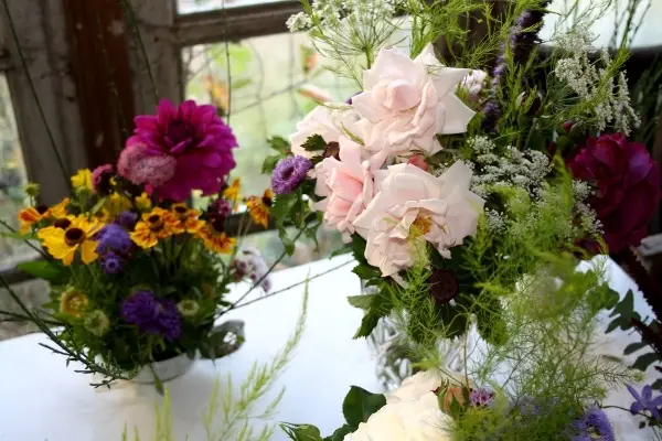 L'Herboriste de La Chapelle — photo 3