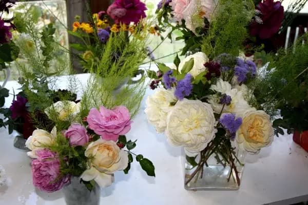 L'Herboriste de La Chapelle — photo 1