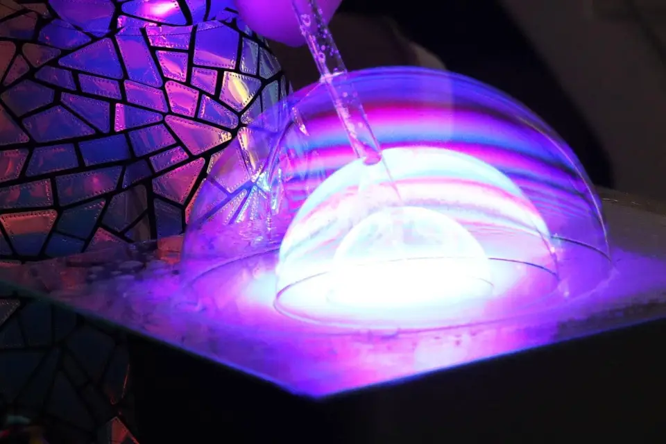 Miss Paillette — photo 7