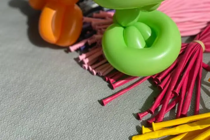 Miss Paillette — photo 3