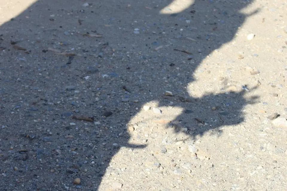 Fée d'Organisation — photo 4