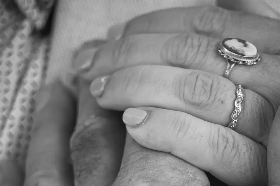 ZoomZoom Studio — photo 7