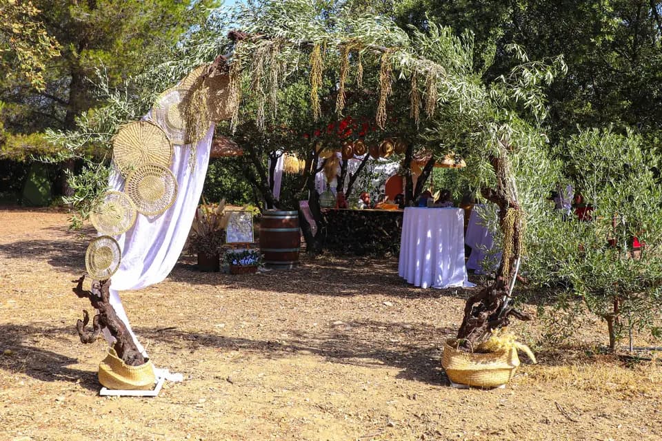 La Singulière — photo 7