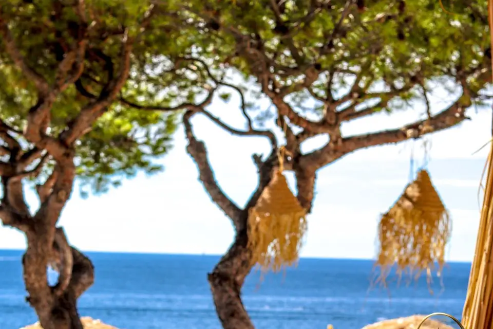 La Singulière — photo 6