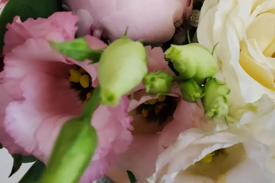 1000 et Une Fleurs — photo 4