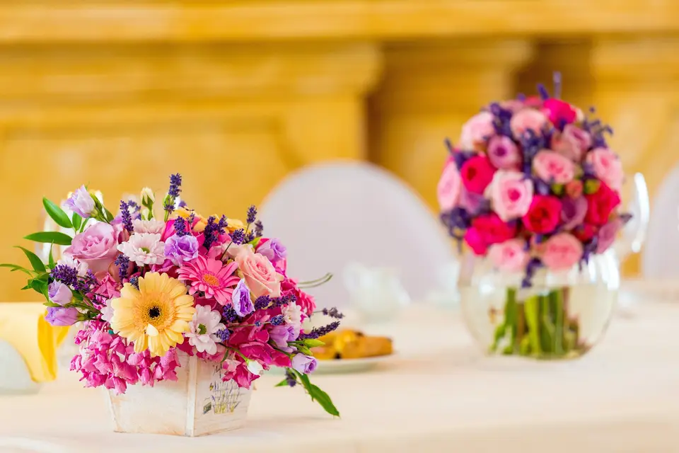 Si-Drone — photo 4