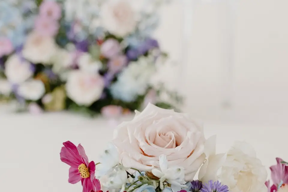 Si-Drone — photo 6