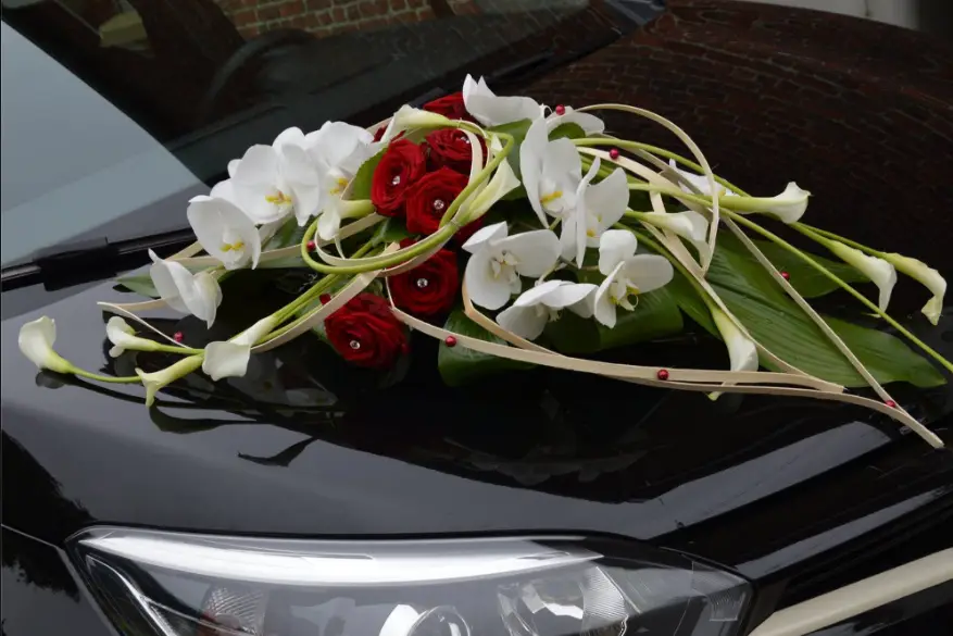 Glorioza — photo 7