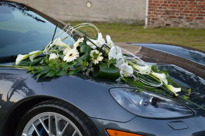 Glorioza — photo 5