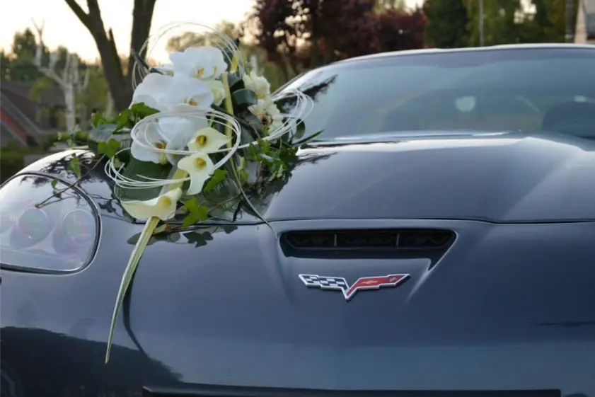 Glorioza — photo 6