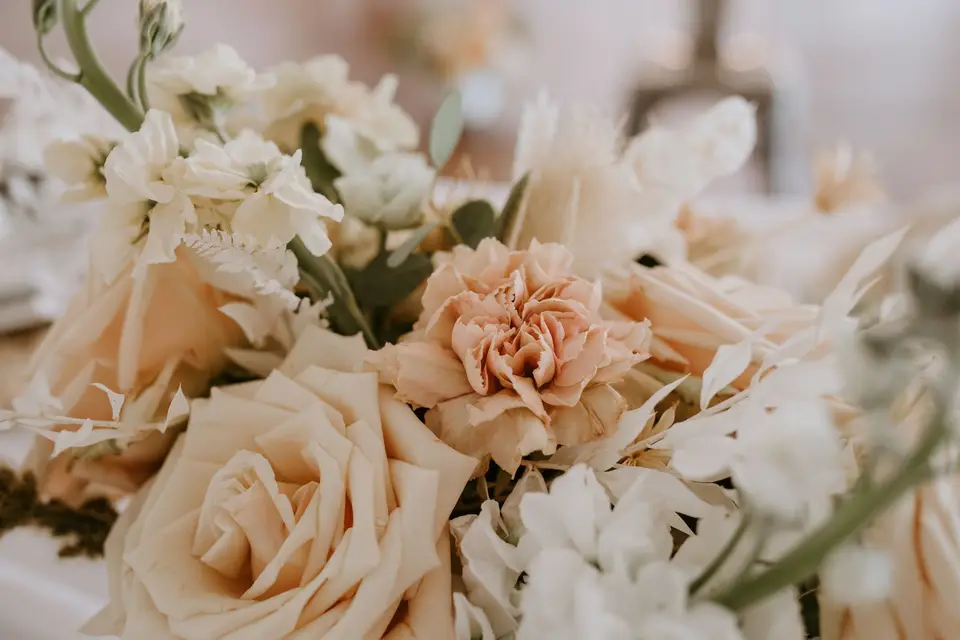 Flora - Philippe Marme — photo 7