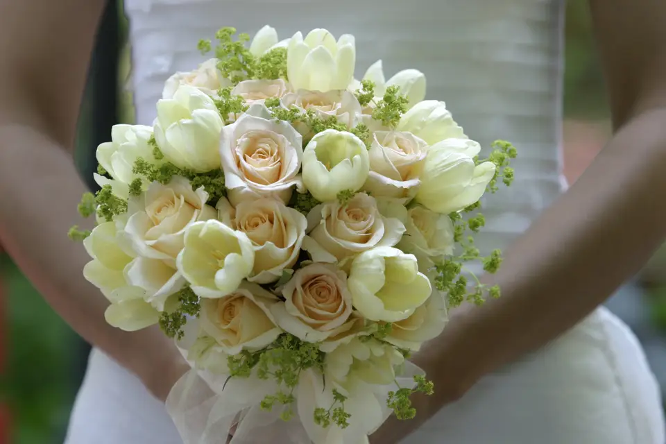 Flora - Philippe Marme — photo 2