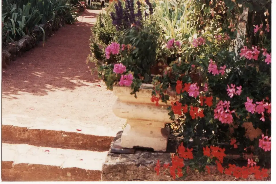 Aux Montagnards — photo 6