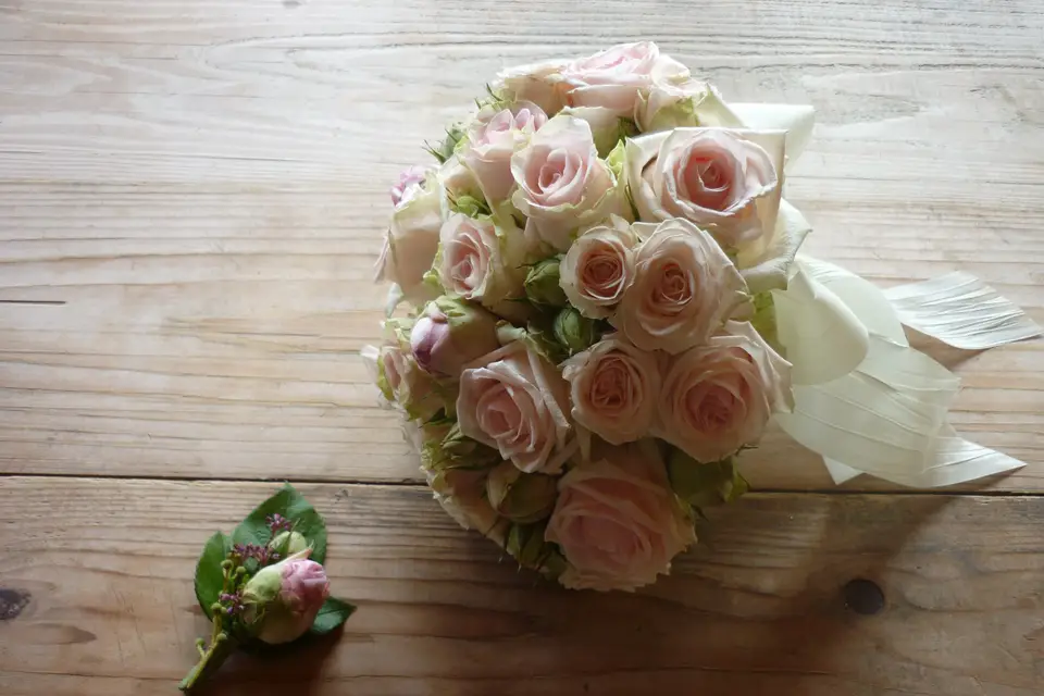 Il était une Fleur — photo 6