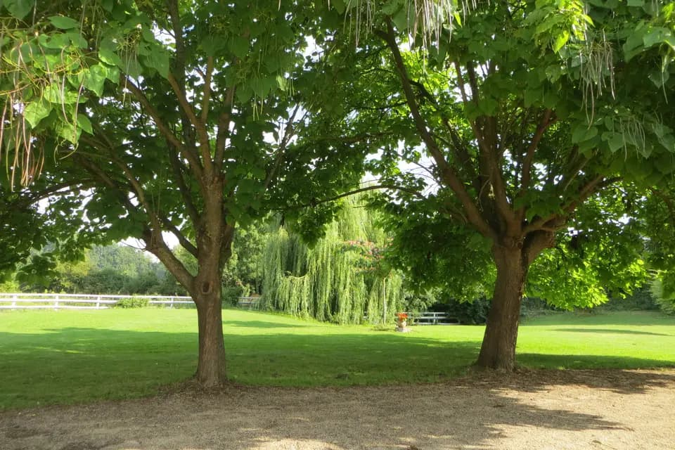 Ferme de l'isle — photo 8