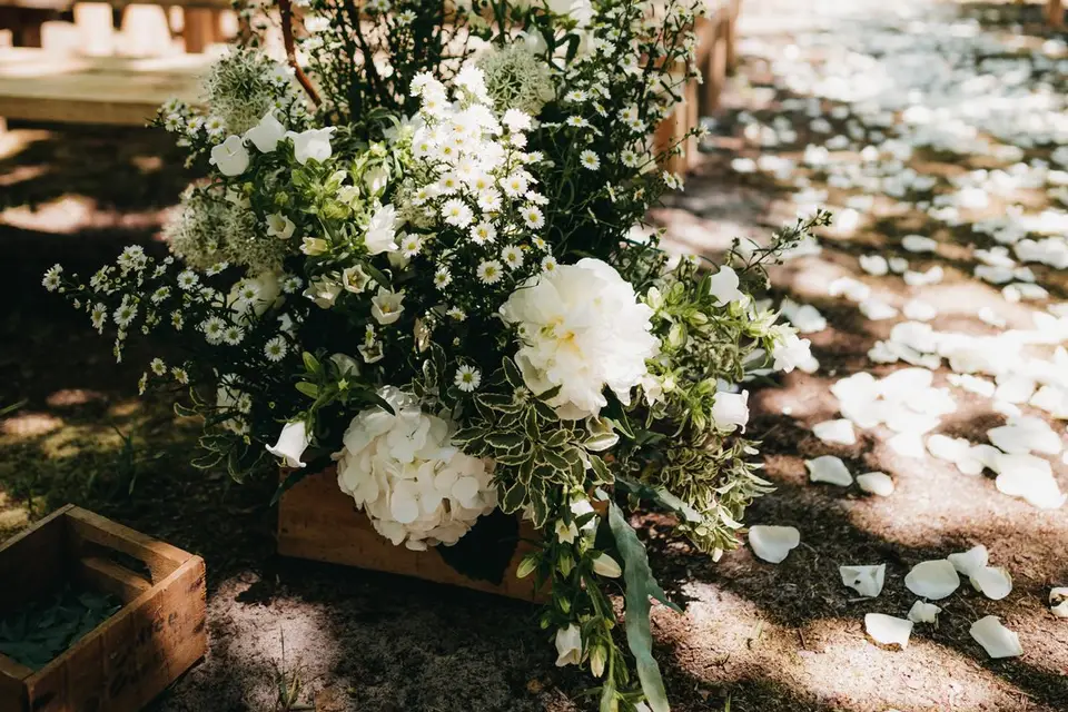 Hug - Création d'ambiance — photo 3