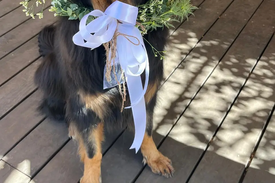 Flower Power Events — photo 3