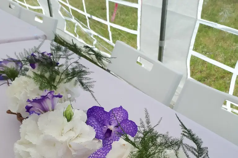 Danses avec les fleurs — photo 1