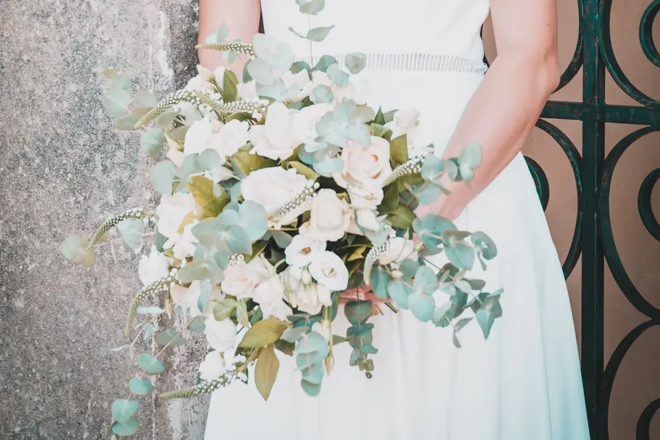 Pas Comme Ailleurs — photo 3