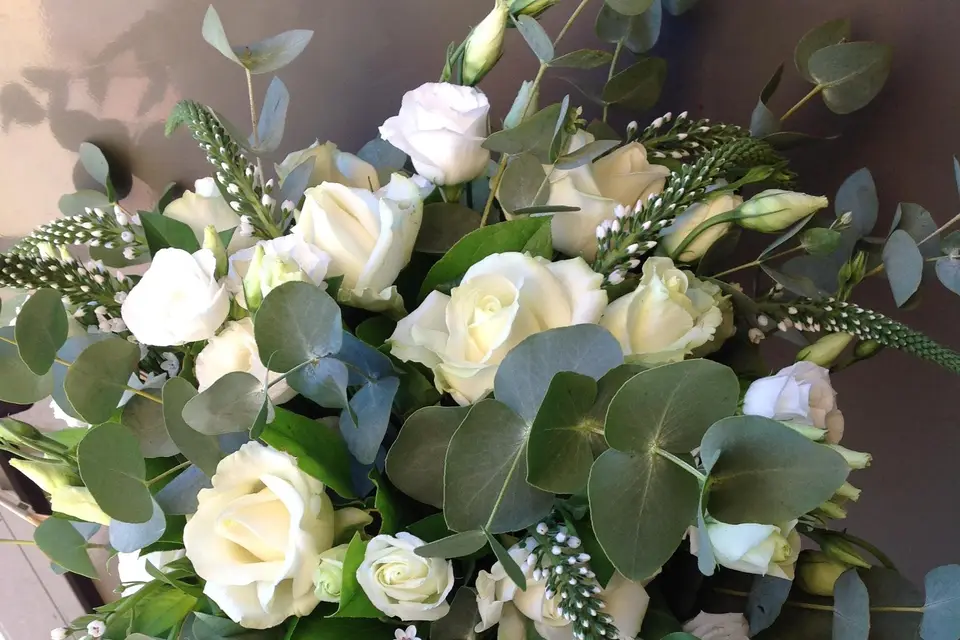 Pas Comme Ailleurs — photo 4