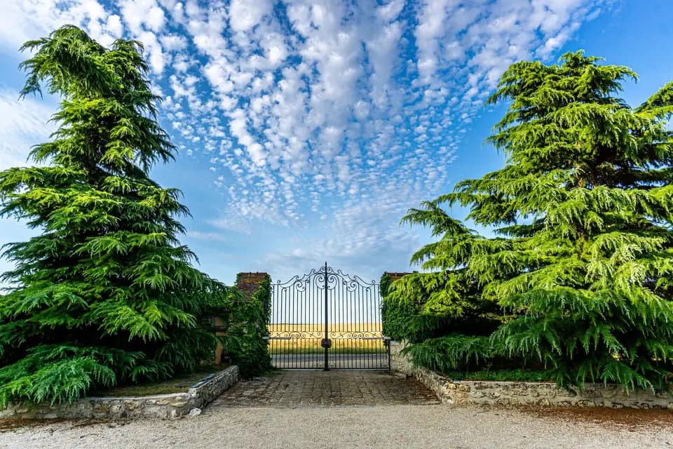 Domaine Saint-Pierre — photo 3