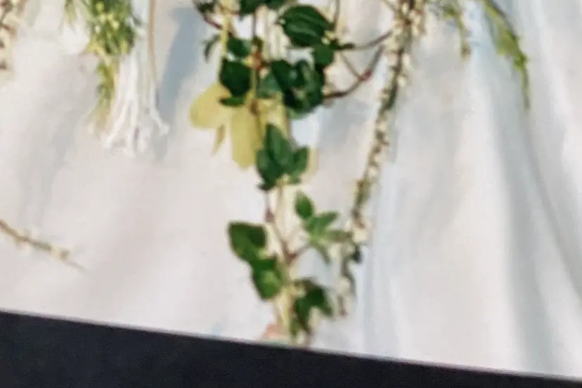 Gérard Dubin Fleuriste — photo 8