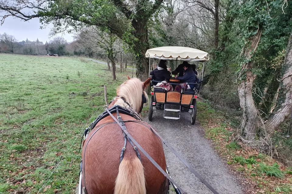 Tome de Rhuys — photo 6