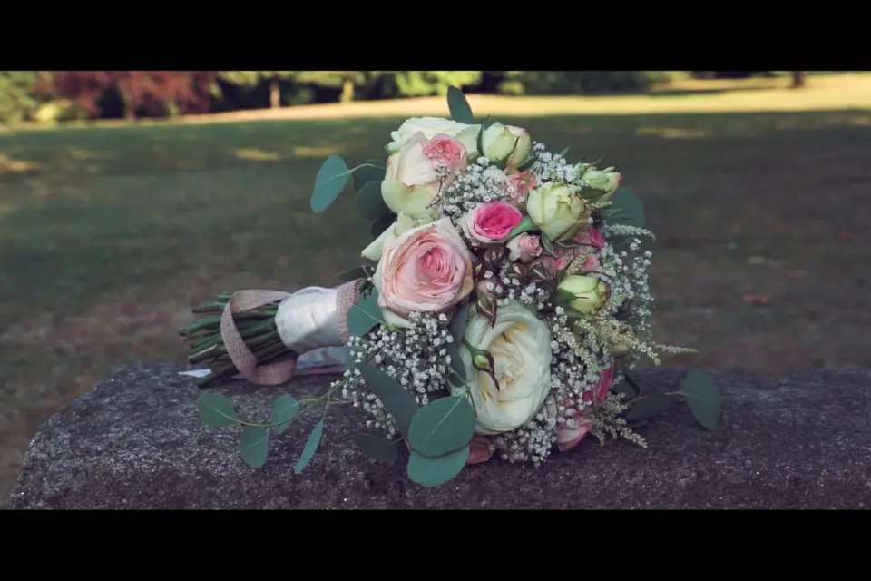 Studio Cameo — photo 7