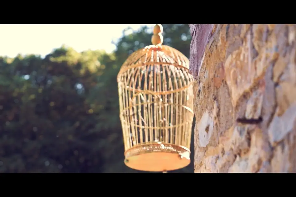 Studio Cameo — photo 6