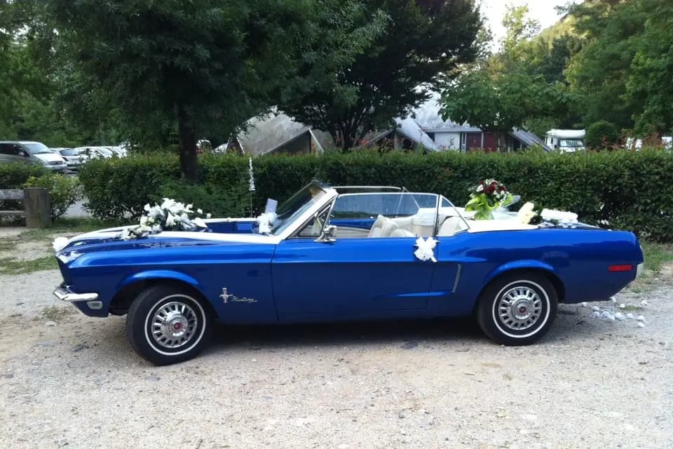 Ford Mustang by Pneu 26 — photo 3